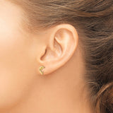 14k Mini Jumping Dolphin Post Earrings